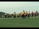 Travis Eman 2008 Brampton Bulldogs Highlight Real