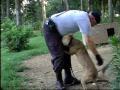 Federal Dog Fighting Raid- July 2009