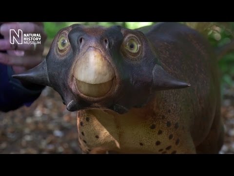 How to bring a dinosaur to life in technicolour