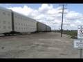 BNSF Vehicle train cruises through the curve east of Ballico