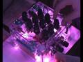 videos de Démo NE555Synth DIY