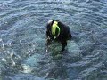 Allan Marshall Takes You Underwater in Antarctica