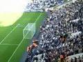 Sunderland Fans Vs Tottenham: Djibril Cisse Sunderland Number 9