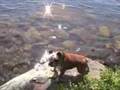 Binalong: Summer 2007