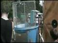 Bowley Centenary Scout Camp Jack's Dunk Tank Vid