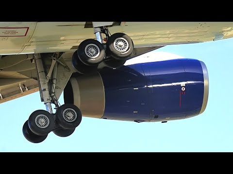 Teen Survives 5 Hours Unconscious In Wheel Well Of Airplane