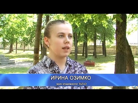Актуальное интервью 20 мая 2018. Врач-эпидемиолог ЗЦГиЭ Ирина Озимко.