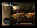 Epic Tiger Fight