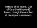Call of Duty 5 facts (plus mini tribute)