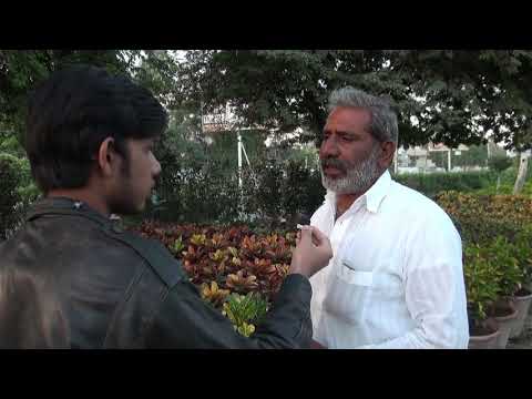 how to fertilize crotons