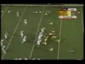 Braylon Edwards Short