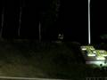 videos de TP Streaker 2008