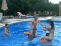 chicken fight battle royal
