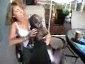 Bored Dad Abuses Family w/ Leaf Blower