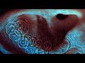 Vandaag vast in mijn hoofd: Fearless van Pink Floyd: http://t.co/t8j5J0vi