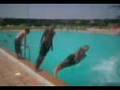 PiScInE cHaWiYa