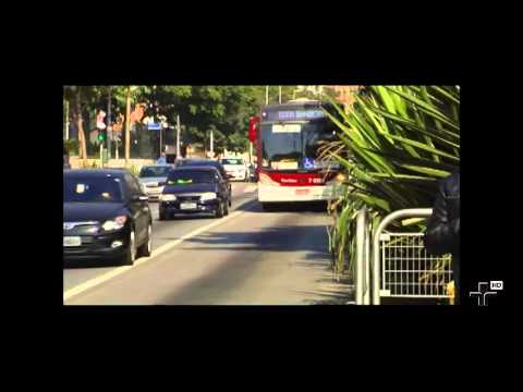 Ônibus nova regras - Guia do Dia