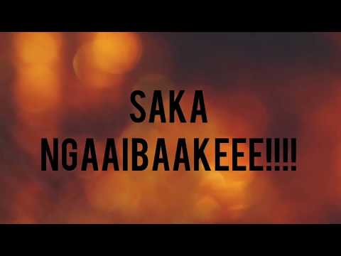 Ngaibake - Freeman ft Aleck Macheso lyric Video