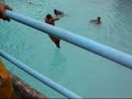 pstc