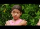 Aguilas de la Nada. 1/2. Watch 2nd Part too! Aguilas de la Nada. 1/2. Watch 2nd Part too!