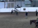 CLIP0029.AVI