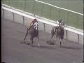 1991 Match Race: Throughbred and Quarter Horse 1991 Match Race: Throughbred and Quarter Horse