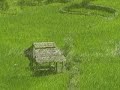 bali bali