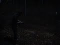 Shotgun Fire