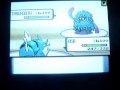 Pokemon Wifi Battle: Swept by a gyarados Pokemon Wifi Battle: Swept by a gyarados