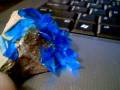 4 Hour Copper Sulphate Crystals