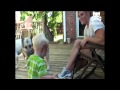 Big dog bulldozes boy