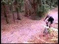 VTT UNSS 2008-2009