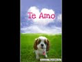 yo naci para amarte de alejandro fernandez