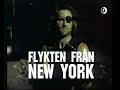 Femman Reklamvinjett 1994