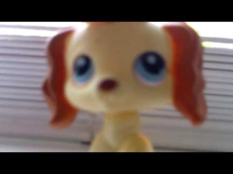 how to get rid of lps