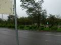 Tufao