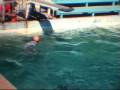 videos de Surfers Paradise 1969