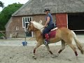 Reno Galop