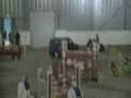 Wendy Glava GP Grenland sept 08