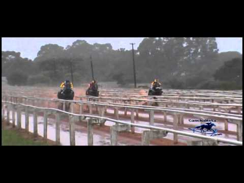 J C Carazinhense GP Velocistas da America 2015 3ª Seletiva J C Carazinhense GP Velocistas da America 2015 3ª Seletiva