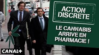 Le cannabis arrive en pharmacie