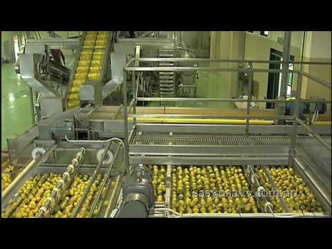 how to extract vitamin c from lemon