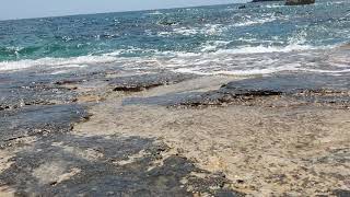 VIDEOS + 16 Aras Fingers Paphos - Sea Caves 14.06.2020 015