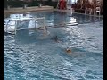 Spain Hungary World jr. Championships Argentina 05 waterpolo Spain Hungary World jr. Championships Argentina 05 waterpolo