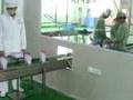 Automatic Vertical Form Filling Sealing Packaging Machine