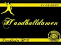 HSDO BVB Handball Damen in Frankfurt Oder