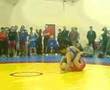sarmat kensington wrestling club