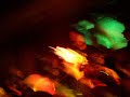 bridge to solace - 