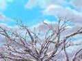 この木何の木気になる木