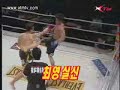 Korean Super Fighter